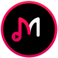 Music Player Pro