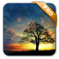 Sunset Hill Live Wallpaper - Pro