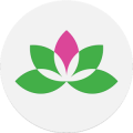 Yoga Studio