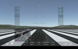Infinite Flight Simulator1
