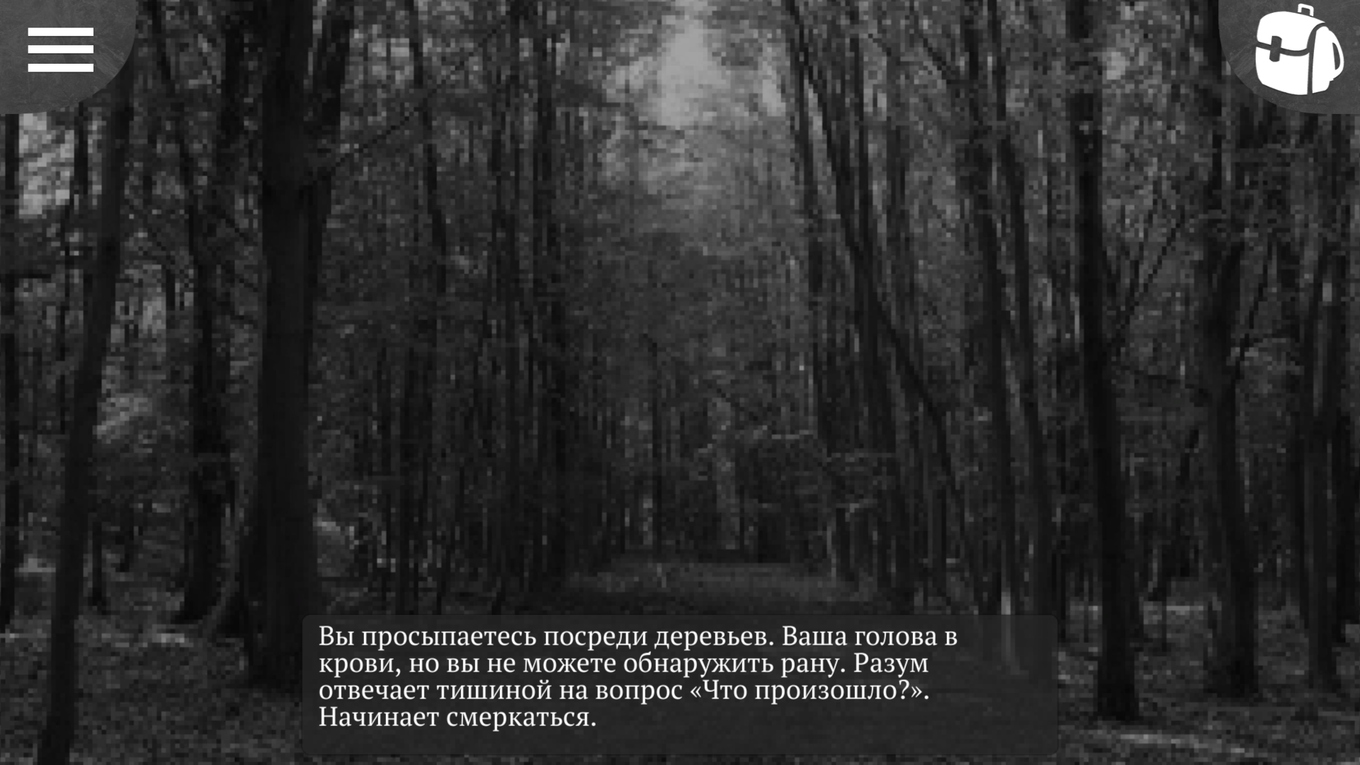 Скачать The Darkest Woods для Андроид - APKMEN