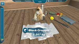 скачать игру Ice Lakes
