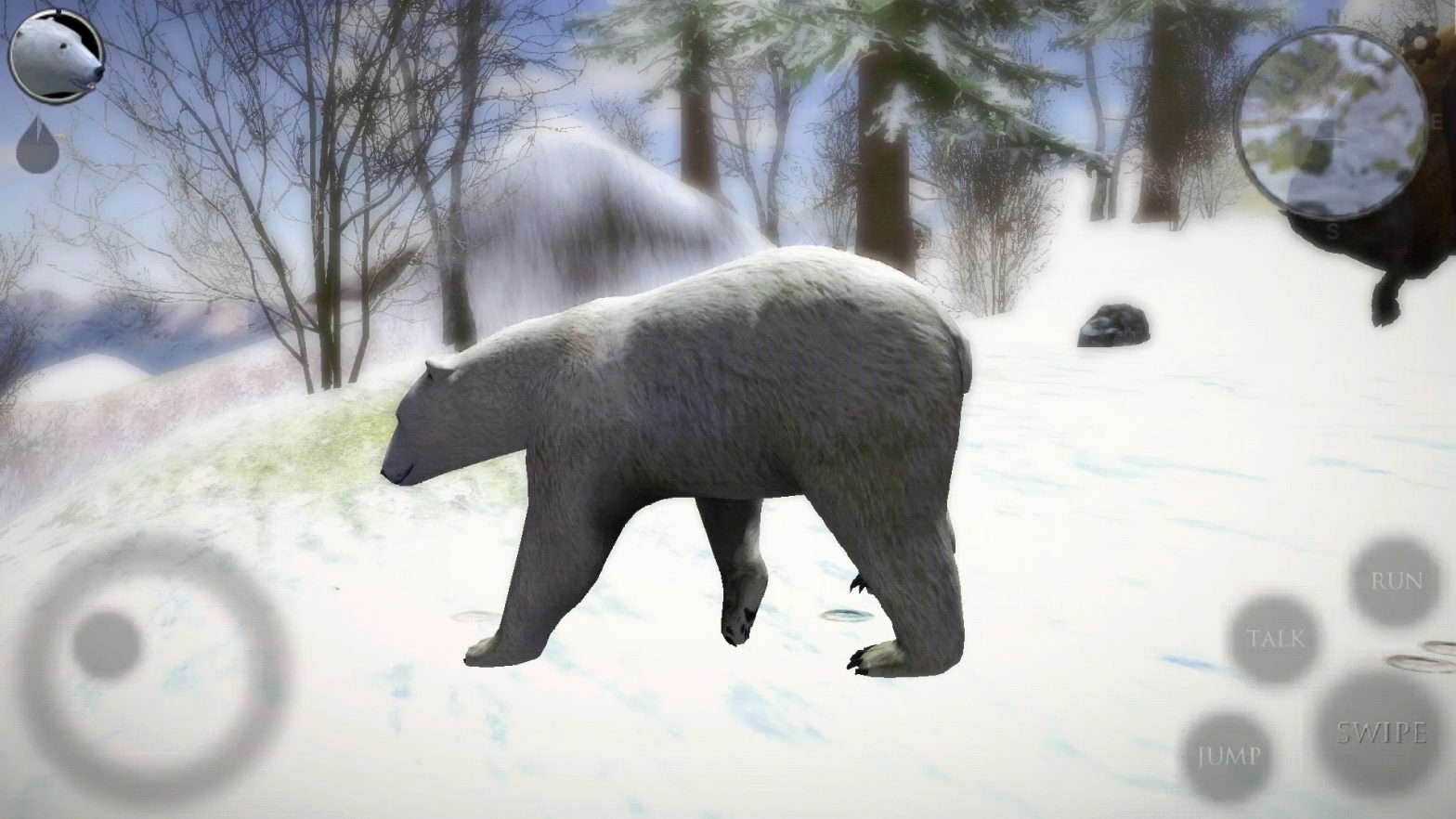Игру медведь как получить. Симулятор белого медведя. Игра белые медведи. Игра про полярного медведя. Симулятор арктического медведя.